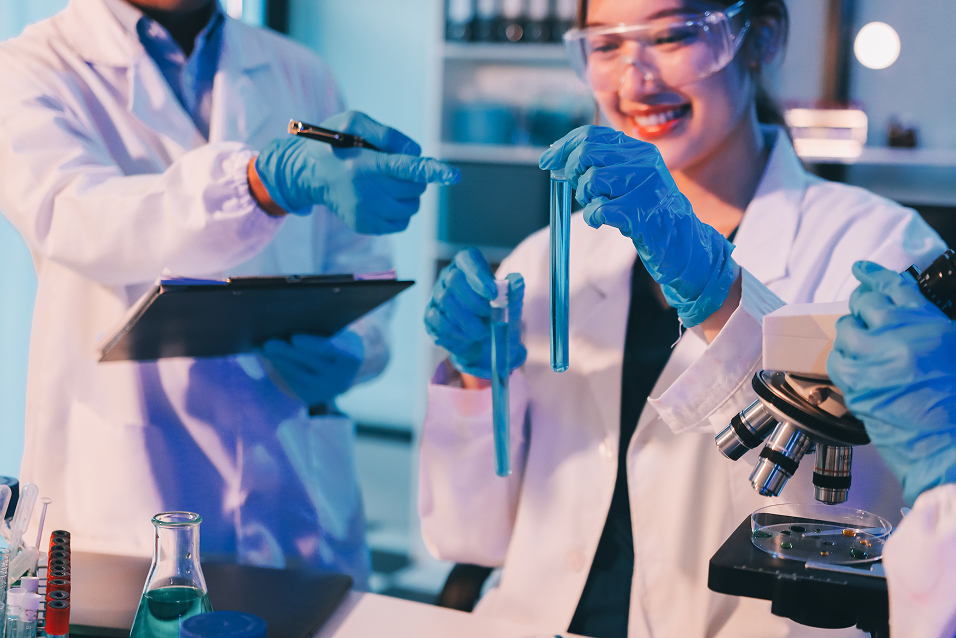 Команда Schneider Group